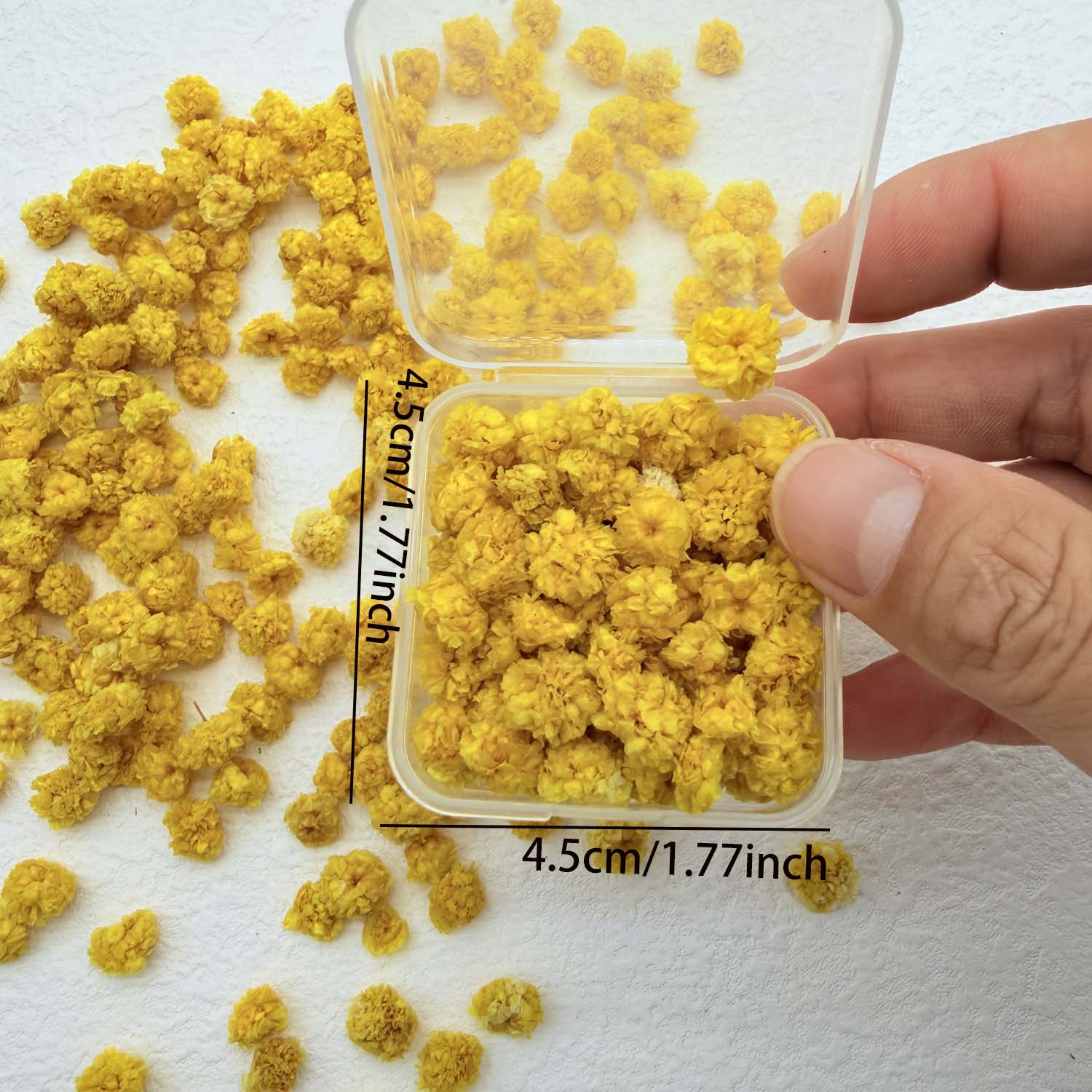 1 Box Colorful Flower Heads Ha - Art Craft Website บทวิจารณ์และราคา