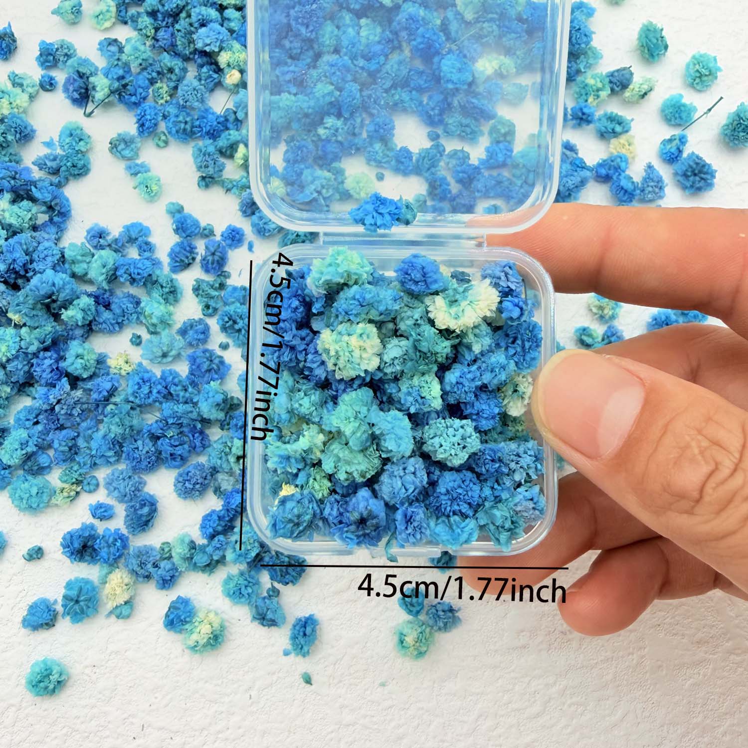 1 Box Colorful Flower Heads Ha - Art Craft Website บทวิจารณ์และราคา