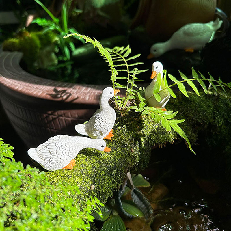 3pcs Cute White Duck Hydroponi - Art Craft Duck บทวิจารณ์และราคา