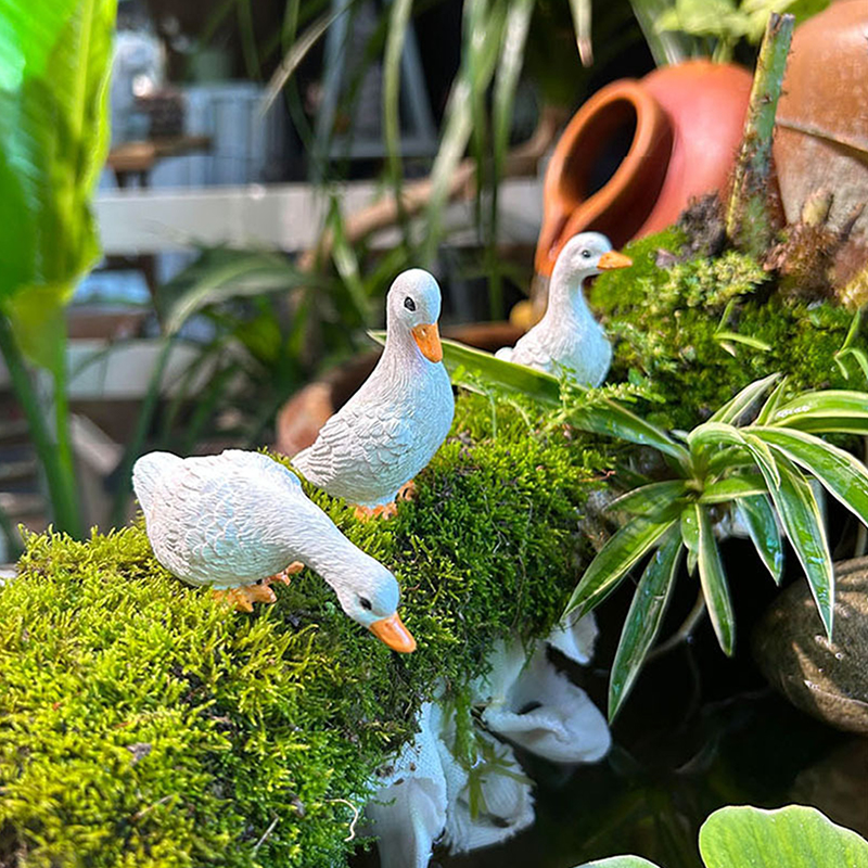 3pcs Cute White Duck Hydroponi - Art Craft Duck บทวิจารณ์และราคา