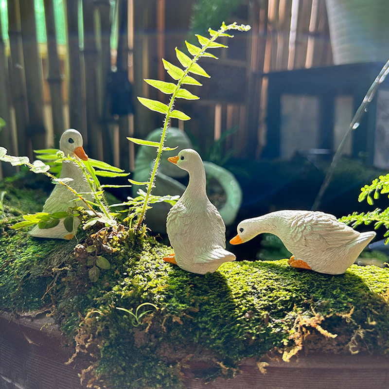 3pcs Cute White Duck Hydroponi - Art Craft Duck บทวิจารณ์และราคา