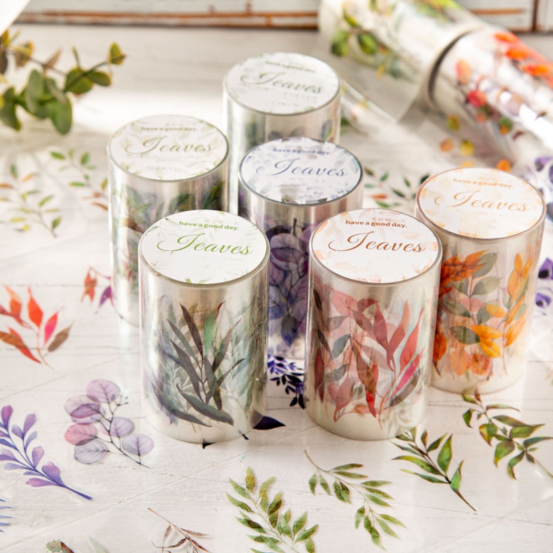 6 Rolls of 6Cm×200Cm Fallen Le - Art Craft Using Leaves บทวิจารณ์และราคา