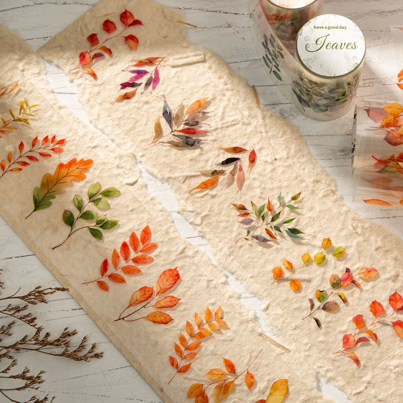 6 Rolls of 6Cm×200Cm Fallen Le - Art Craft Using Leaves บทวิจารณ์และราคา