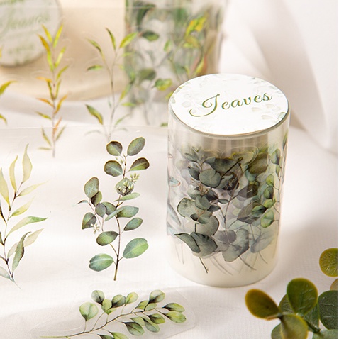 6 Rolls of 6Cm×200Cm Fallen Le - Art Craft Using Leaves บทวิจารณ์และราคา