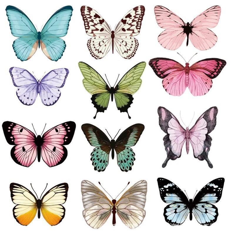 12pcs 3D Butterfly Wall Sticke - Art Craft Event บทวิจารณ์และราคา