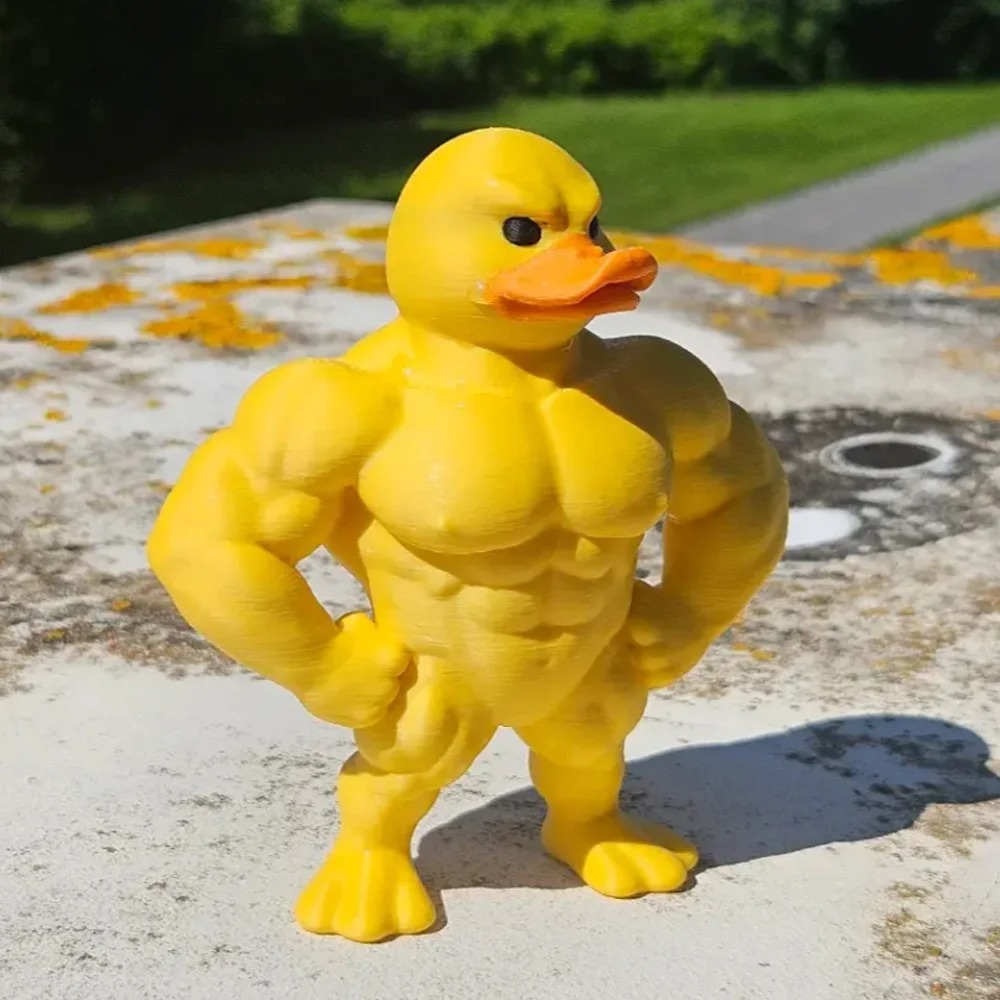 Muscle Duck Statue -3D Desktop - Art Craft Duck บทวิจารณ์และราคา